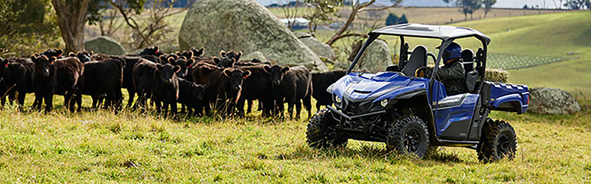 yamaha-wolverine-x2-utility